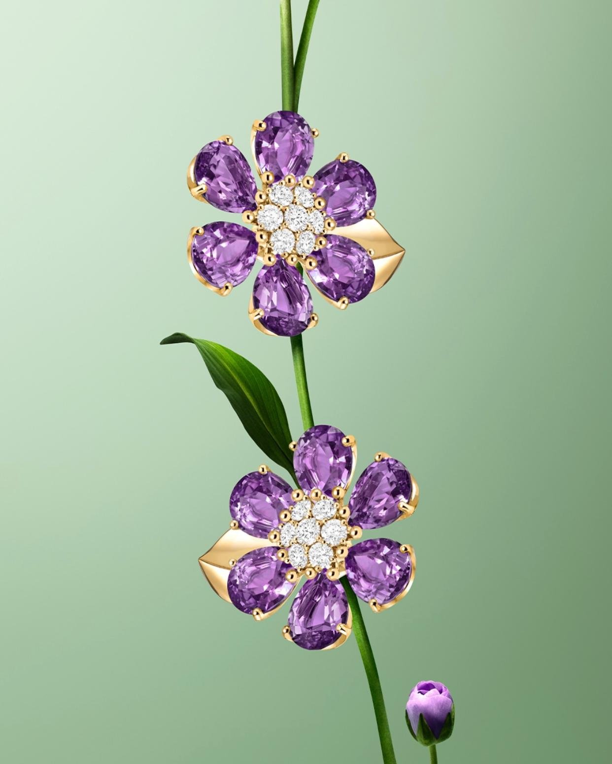 © Van Cleef & Arpels – Visuel officiel | Source : Instagram @Vancleefarpels